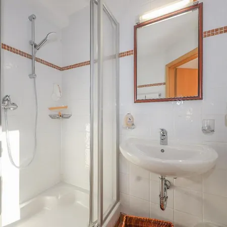 阿尔皮纳小木屋公寓式酒店 *